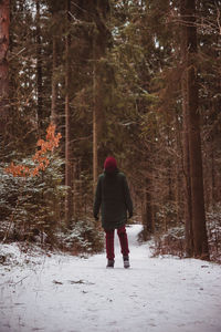 Rear view of woman walking in forest