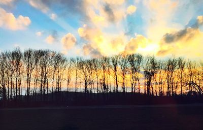 Bare trees on field against cloudy sky