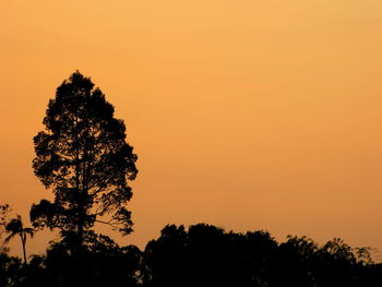 Low angle view of silhouette trees against orange sky