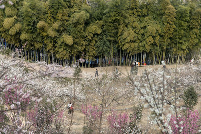 High angle view of people in park