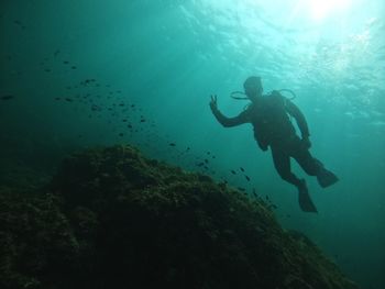 Scuba diving in sea