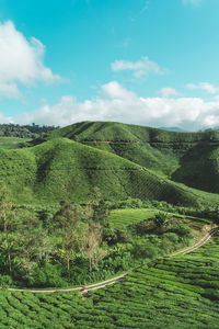 Scenic view of landscape against sky