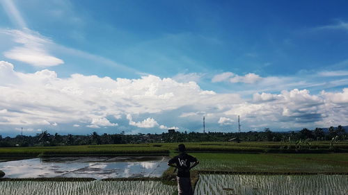 Scenic view of agricultural field against sky