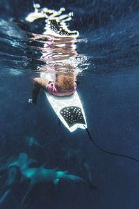 Man sitting on surfboard over nurse sharks swimming in sea