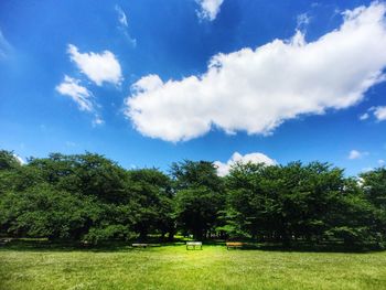 Scenic view of grassy field against cloudy sky