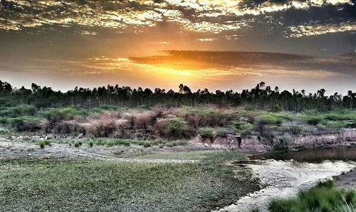 Scenic view of landscape against sky