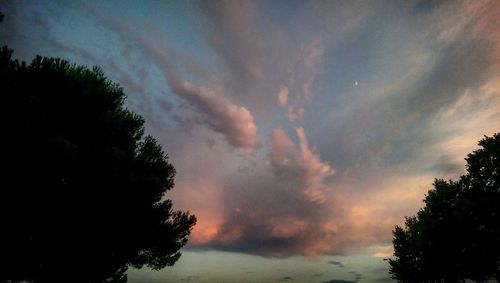 Low angle view of silhouette trees against sky