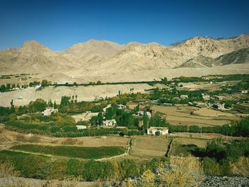 Scenic view of field against clear sky