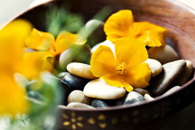 Close-up of yellow flowers in bowl