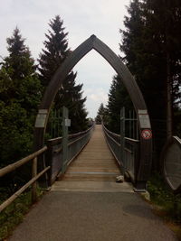 Footpath amidst trees against sky