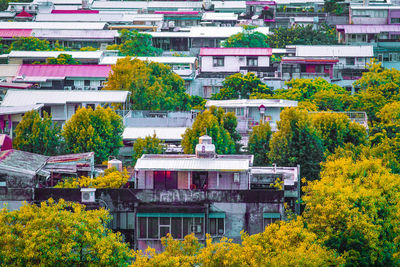 High angle view of trees and buildings in town