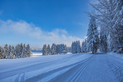 Snow covered land and trees against sky