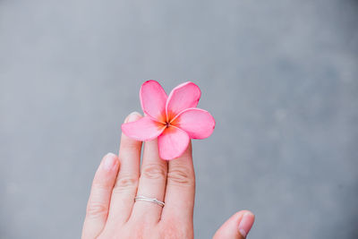 Close-up of hand holding pink flower against blurred background