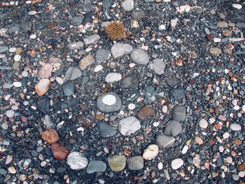 High angle view of stones on beach