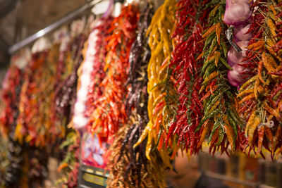 Close-up of multi colored vegetables for sale