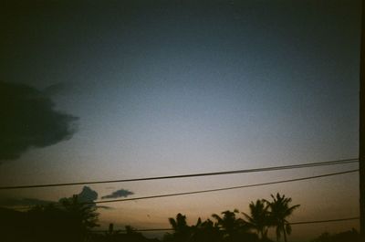 Silhouette of palm trees against sky