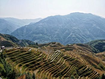 Scenic view of agricultural landscape against sky