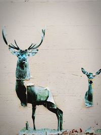 View of deer on wall
