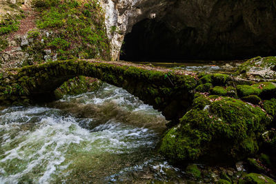 Scenic view of waterfall in forest