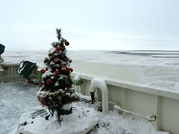 Christmas tree on beach during winter