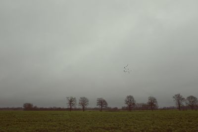 Scenic view of trees on field against sky