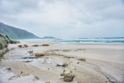 Scenic view of beach against sky