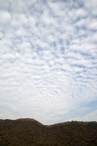 Low angle view of landscape against sky