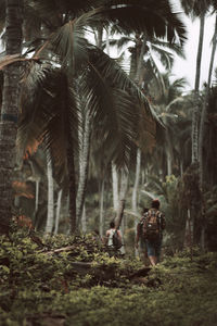 Woman in palm trees