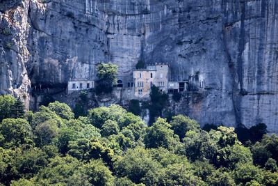 Low angle view of trees on cliff