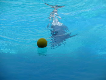 Close-up of ball in swimming pool