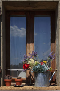 View of potted plants against window