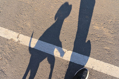 shadow
