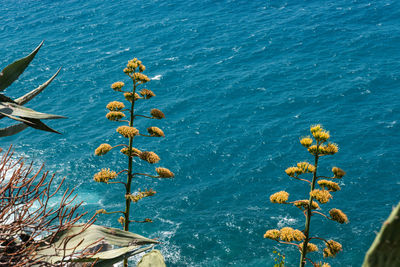 High angle view of boats in sea