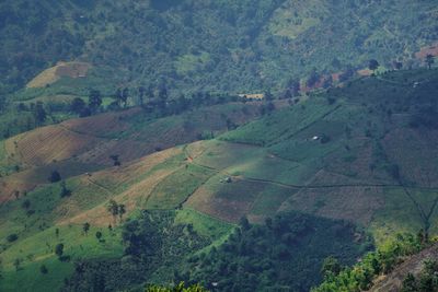 High angle view of landscape