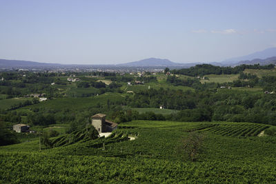 Scenic view of agricultural landscape against sky