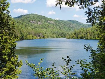 Scenic view of lake in forest against sky