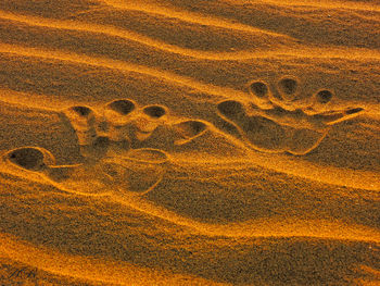 Close-up of footprints on sand at beach