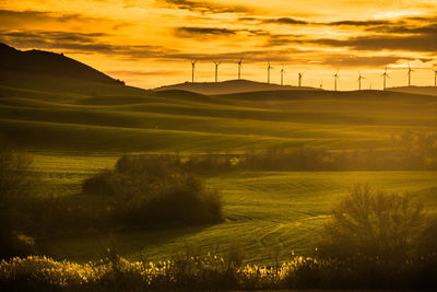 Scenic view of field against sky during sunset