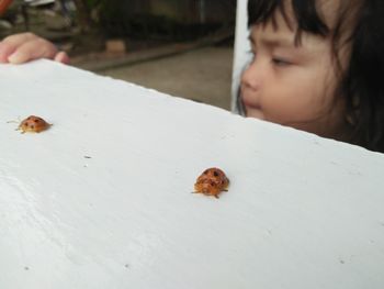 Close-up of girl looking at insect on table