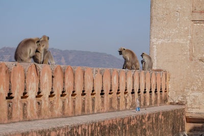 View of two people against the wall