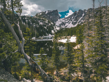 Mountain range, rocky mountain national park, tree, forest.