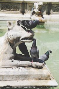 Birds perching on a lake