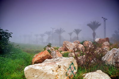 Rocks on field against sky