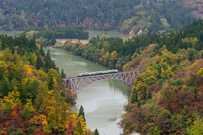 High angle view of arch bridge over river during autumn