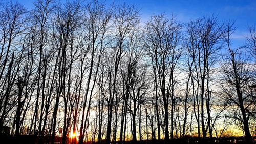 Low angle view of silhouette bare trees against sky during sunset