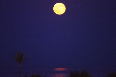 Low angle view of moon against clear sky at night