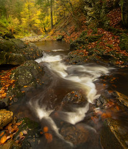 Stream flowing through rocks in forest