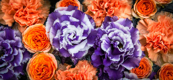 Full frame shot of multi colored flower bouquet