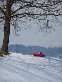 Scenic view of snow covered landscape