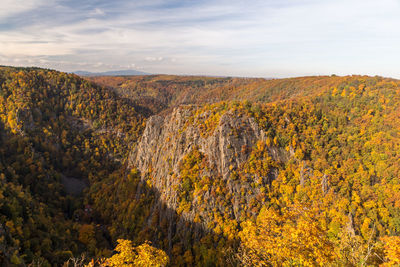 Plants on landscape against sky during autumn